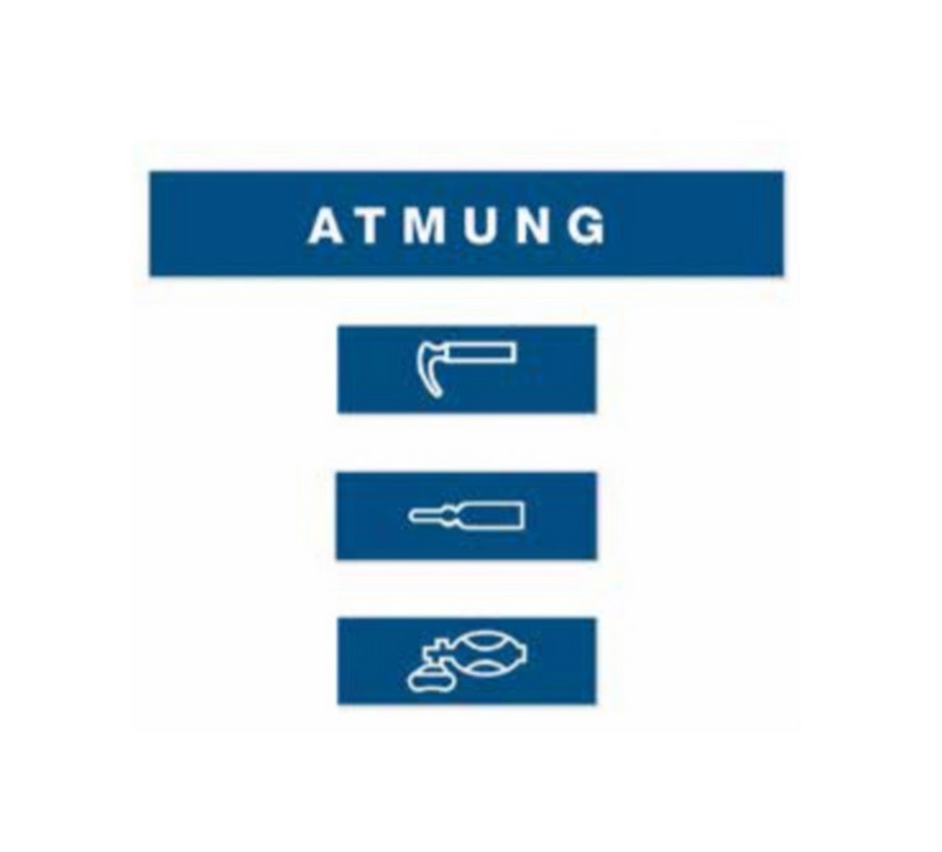 Weinmann Kofferaufkleber Set | Ausführung: Atmung