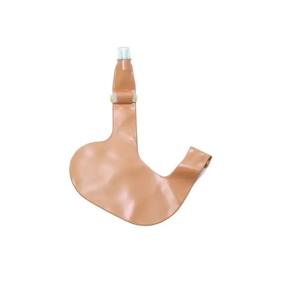 Laerdal® Airway-Management-Trainer / Intubationstrainer Ersatzteil | Magen