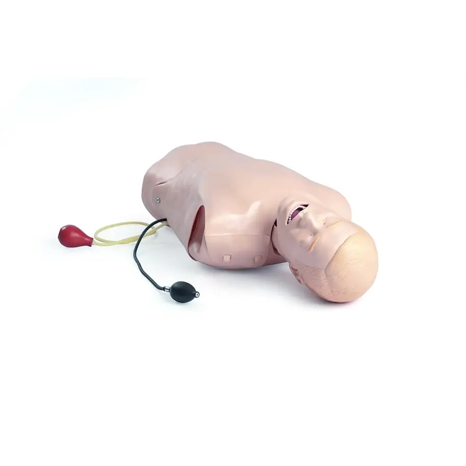 Laerdal® Deluxe Difficult Airway Trainer