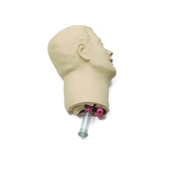 Laerdal® Airway-Management-Trainer/Intubationstrainer Ersatzteil | Kopfhaut mit Luftwegen und Zähne